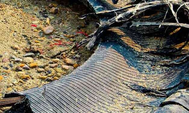 Tire Defect Attorneys