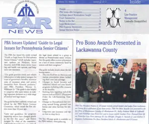 pro bono award
