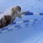 swimming drowning accident