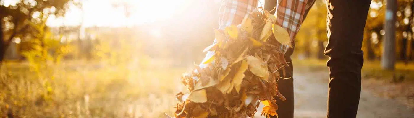 Autumn Slip and Fall Hazards
