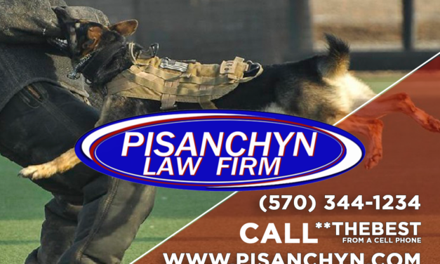 What is Premise Liability? Understanding Your Rights with a Dog Bite Attorney