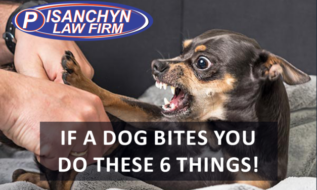 If a Dog Bites You, Do These 6 Things Now