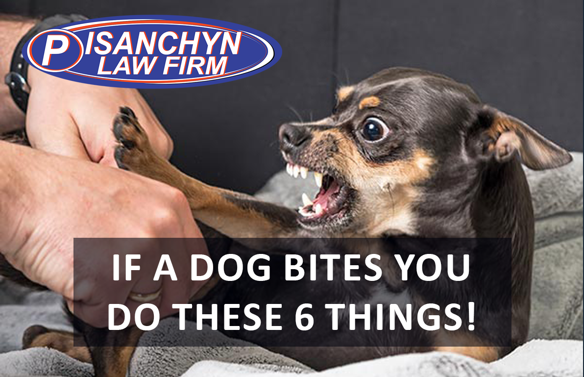 If a Dog Bites You, Do These 6 Things Now