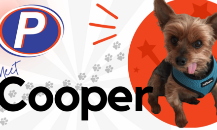 🐾 Employee Spotlight: Meet Cooper