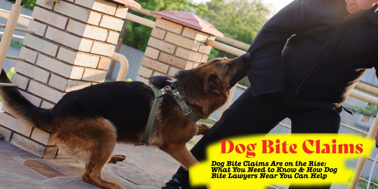 Dog Bite Claims Are on the Rise: What You Need to Know & How Dog Bite Lawyers Near You Can Help