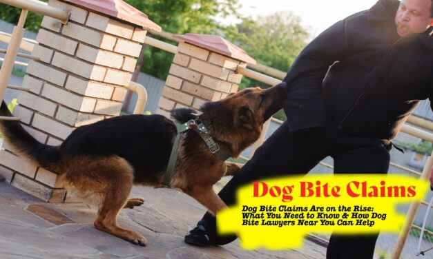 Dog Bite Claims Are on the Rise: What You Need to Know & How Dog Bite Lawyers Near You Can Help
