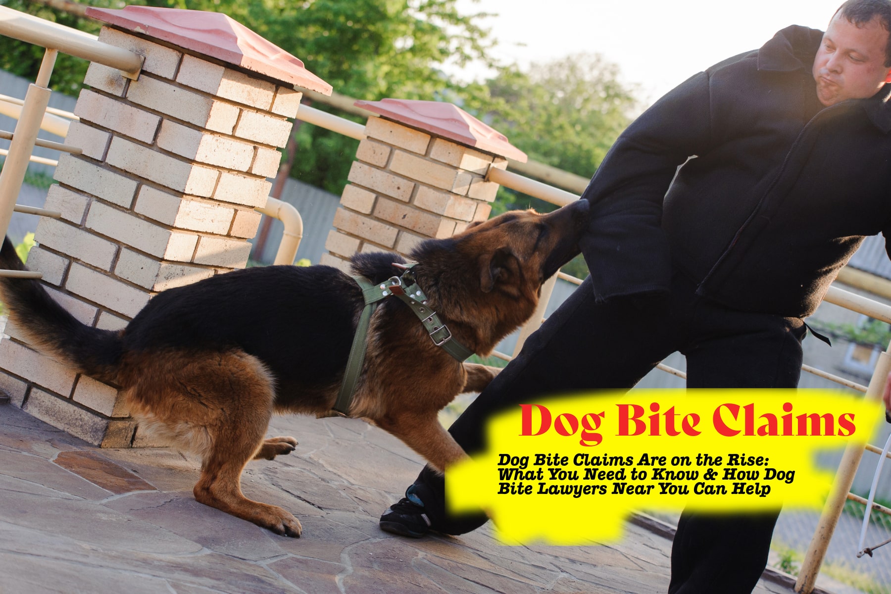Searching for experienced dog bite lawyers near me? Learn why dog bite claims are increasing, what compensation you may be entitled to, and how local attorneys can fight for your rights