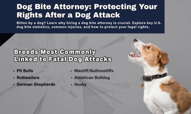 Dog Bite Attorney: What You Need to Know About the Rising Risk of Dog Attacks in the U.S.