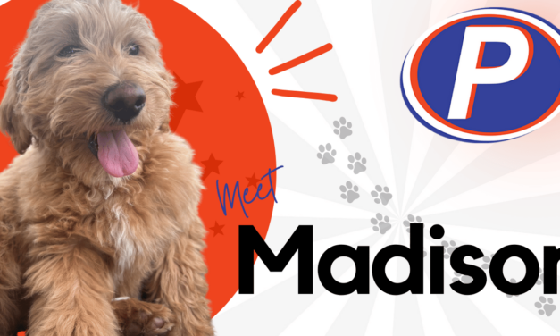 🐾 Employee Spotlight: Meet Madison