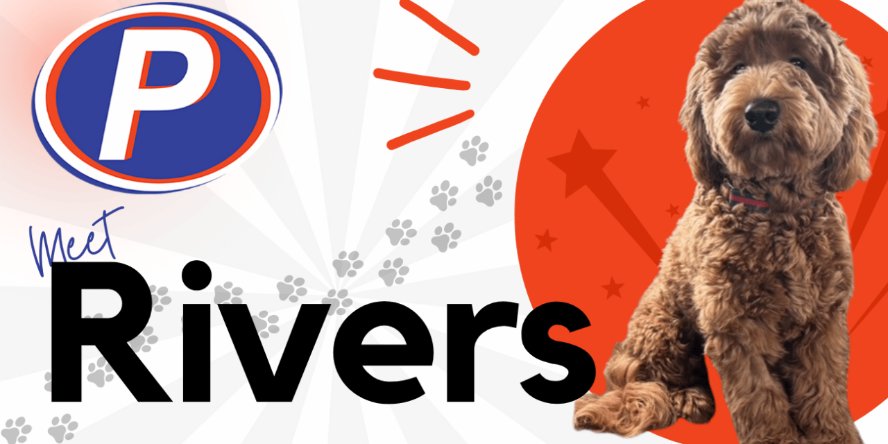 🐾 Employee Spotlight: Meet Rivers
