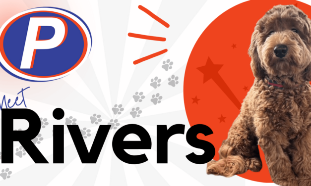 🐾 Employee Spotlight: Meet Rivers