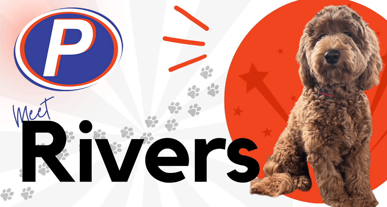 Rivers